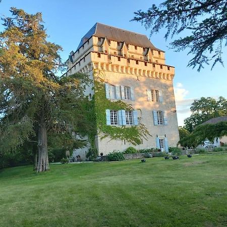 Villa Chateau Tour Du XIII Siecle Gazaupouy Exterior foto