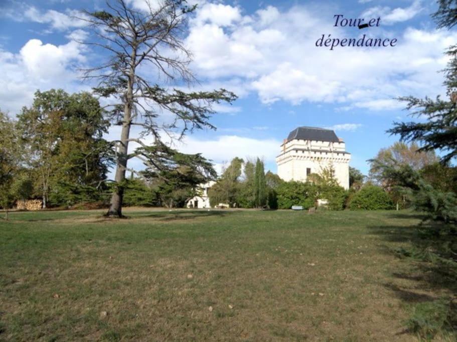 Villa Chateau Tour Du XIII Siecle Gazaupouy Exterior foto